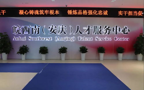 數字安慶 科技中介服務的新藍海與跨界賦能
